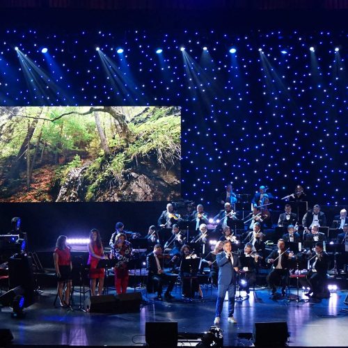 Konzertsaal mit Live-Orchesterbühne.